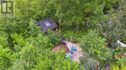 Tree house in the woods! - 33 Leslie Drive, Stoney Creek, ON - Outdoor