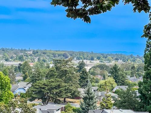 203-2910 Cook St, Victoria, BC - Outdoor With View