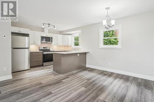 38 Viewpoint Avenue, Hamilton, ON - Indoor Photo Showing Kitchen