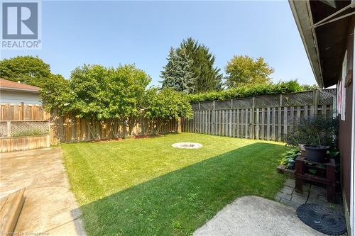 558 Ontario Street, St. Catharines, ON - Outdoor With Backyard