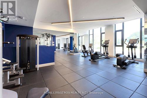 413 - 293 The Kingsway, Toronto (Edenbridge-Humber Valley), ON - Indoor Photo Showing Gym Room