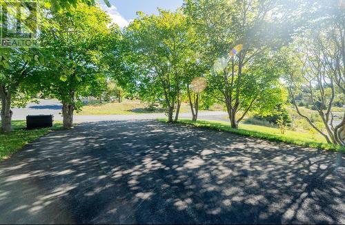 35 Long Pond Road, Marysvale, NL - Outdoor With View