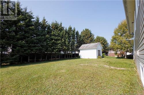 48 Rideout Street, Grand-Sault/Grand Falls, NB - Outdoor