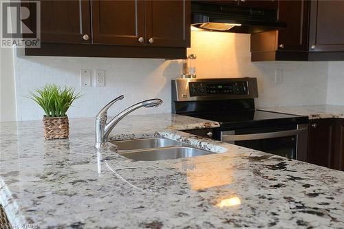 115 Emick Drive, Hamilton, ON - Indoor Photo Showing Kitchen With Double Sink