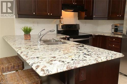 115 Emick Drive, Hamilton, ON - Indoor Photo Showing Kitchen With Double Sink With Upgraded Kitchen