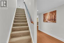 Freshly painted stairs to basement - 