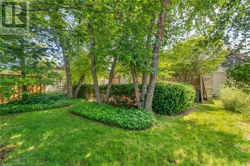 Shaded areas for your enjoyment - 190 Annabelle Street, Hamilton, ON - Outdoor