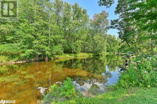 174 Cottage Lane, Tweed, ON - Outdoor