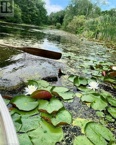 107 Woodhill Road, Hamilton, ON - Outdoor With Body Of Water