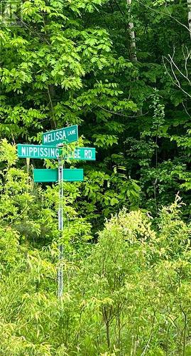 Lot F20 Nippissing Ridge Road, Tiny, ON 