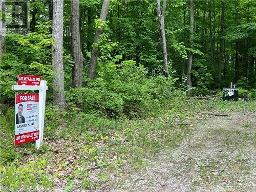 Lot F20 Nippissing Ridge Road, Tiny, ON 