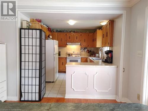 Lower 3rd level Kitchen with double sink and BI dishwasher - 16 Flamingo Drive, Hamilton, ON - Indoor Photo Showing Kitchen