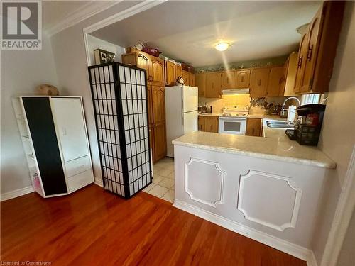 Lower 3rd level Kitchen with double sink and BI dishwasher - 16 Flamingo Drive, Hamilton, ON - Indoor Photo Showing Kitchen