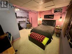 Lower 4th level Bedroom - 