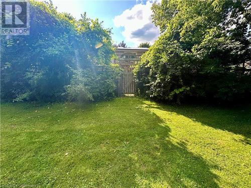 Back entrance into your backyard from Bruleville Nature park. - 16 Flamingo Drive, Hamilton, ON - Outdoor