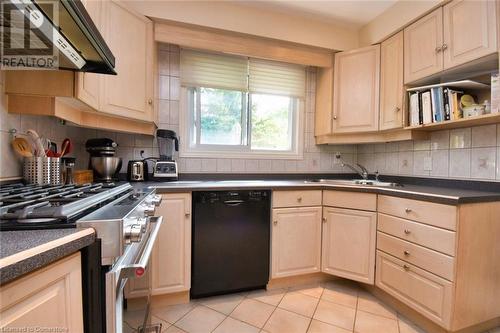 43 Valleyview Drive, Hamilton, ON - Indoor Photo Showing Kitchen With Double Sink