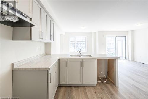 21 Roxanne Drive Unit# 118, Hamilton, ON - Indoor Photo Showing Kitchen With Double Sink