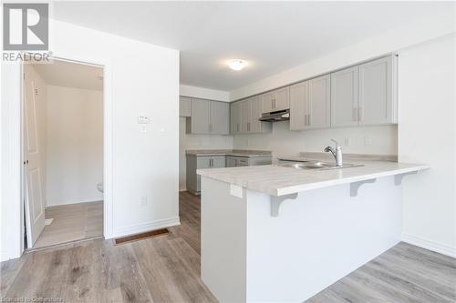 21 Roxanne Drive Unit# 118, Hamilton, ON - Indoor Photo Showing Kitchen With Double Sink