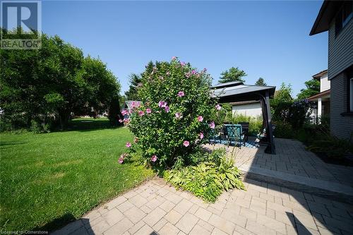 19 Fassett Avenue, Hamilton, ON - Outdoor