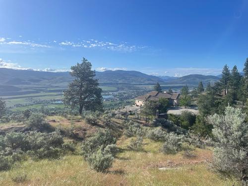 409 Patten Road, Oliver, BC - Outdoor With View