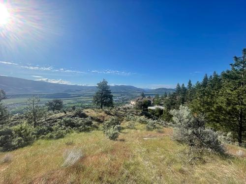 409 Patten Road, Oliver, BC - Outdoor With View