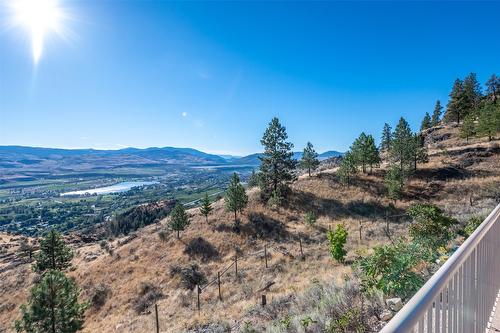 409 Patten Road, Oliver, BC - Outdoor With View