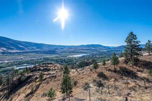 409 Patten Road, Oliver, BC - Outdoor With View