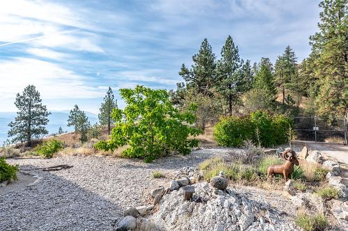 409 Patten Road, Oliver, BC - Outdoor With View