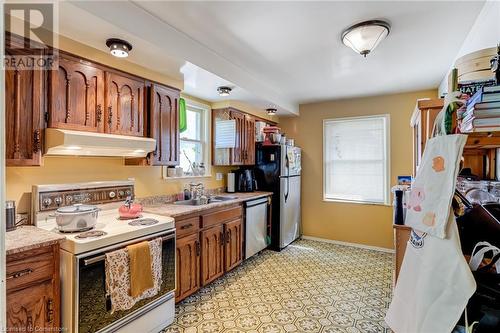 85 Lower Horning Road, Hamilton, ON - Indoor Photo Showing Kitchen With Double Sink