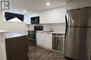 Lower#2 - 22 Galewood Drive, Toronto (Humberlea-Pelmo Park), ON  - Indoor Photo Showing Kitchen 