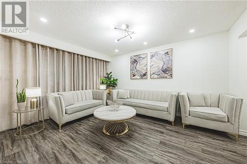 78 Riverdale Drive, Hamilton, ON - Indoor Photo Showing Living Room