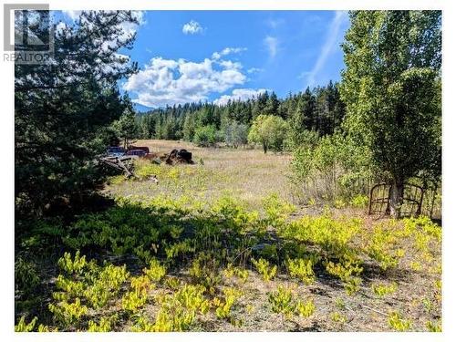 5255 Pitney Road, Valemount, BC - Outdoor With View