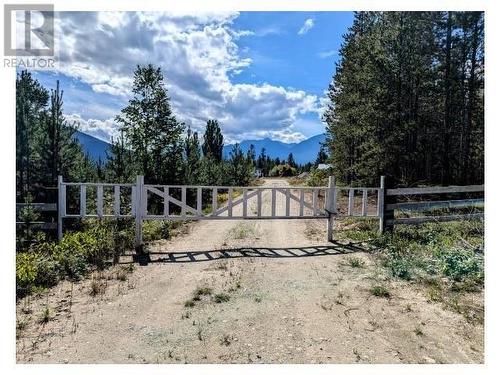 5255 Pitney Road, Valemount, BC - Outdoor