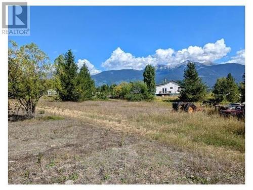 5255 Pitney Road, Valemount, BC - Outdoor With View