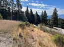 Lot 39 Sasquatch Trail Trail, Osoyoos, BC 