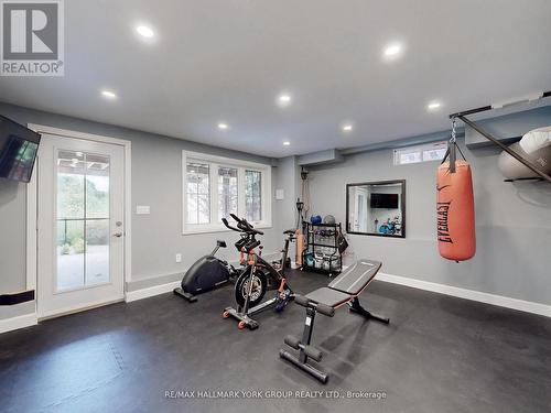 55 Ladder Crescent, East Gwillimbury, ON - Indoor Photo Showing Gym Room