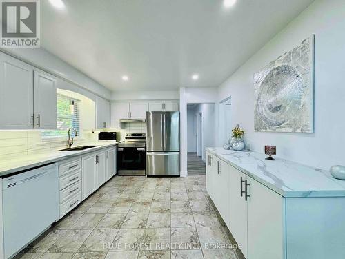 379 Griffith Street, London, ON - Indoor Photo Showing Kitchen