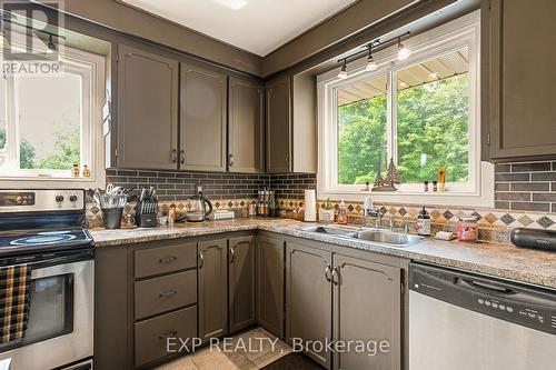 1037 Kernohan Farm Trail, Minden Hills, ON - Indoor Photo Showing Kitchen With Double Sink