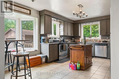 1037 Kernohan Farm Trail, Minden Hills, ON - Indoor Photo Showing Kitchen