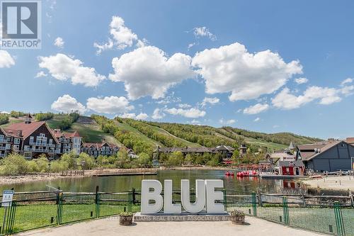 Bsmt - 41 Clark Street, Collingwood, ON - Outdoor With View