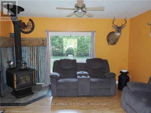 175 Napolean Street, Grey Highlands, ON - Indoor Photo Showing Living Room With Fireplace