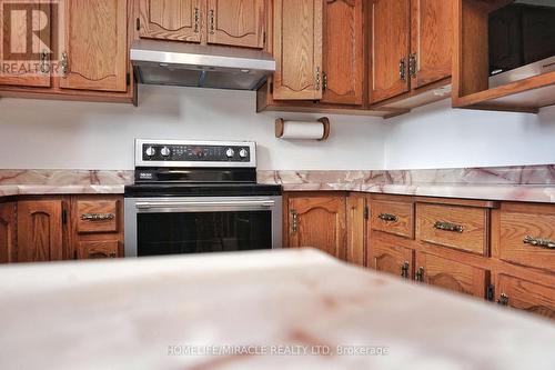 93 Old Chicopee Drive, Kitchener, ON - Indoor Photo Showing Kitchen