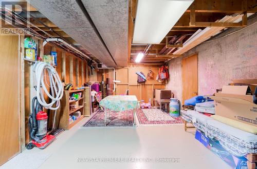 239 Chittick Crescent, Thames Centre (Dorchester), ON - Indoor Photo Showing Basement