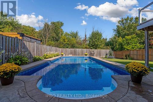 19 Westra Drive, Guelph, ON - Outdoor With In Ground Pool With Deck Patio Veranda With Backyard