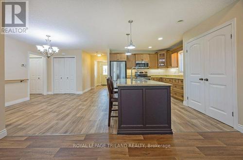 48 Ambleside Drive, St. Thomas, ON - Indoor Photo Showing Kitchen