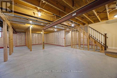 48 Ambleside Drive, St. Thomas, ON - Indoor Photo Showing Basement