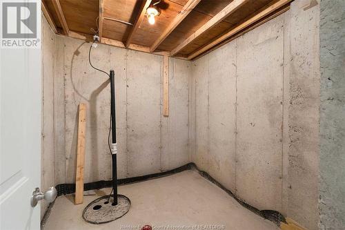 1078 Charlotte Crescent, Lakeshore, ON - Indoor Photo Showing Basement