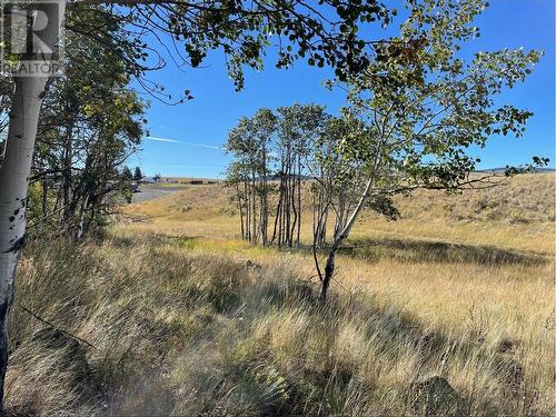 3125 Rose Hill Road, Kamloops, BC - Outdoor With View