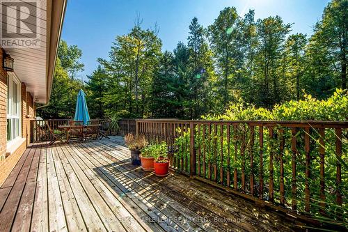 5963 6Th Line, New Tecumseth, ON - Outdoor With Deck Patio Veranda