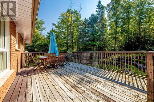 5963 6Th Line, New Tecumseth, ON - Outdoor With Deck Patio Veranda With Exterior